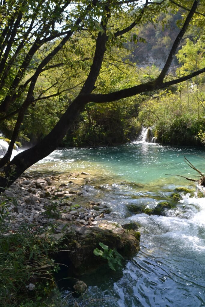 Beautiful river scene with lush foliage and a gentle waterfall in a tranquil forest setting.